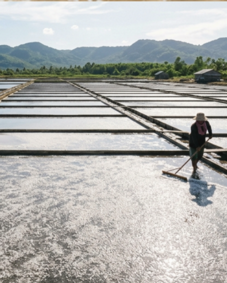 Kampot salt pans